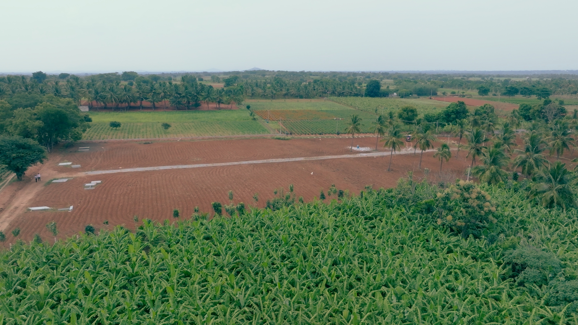 Aerial view of Akshaya Farmlands plots