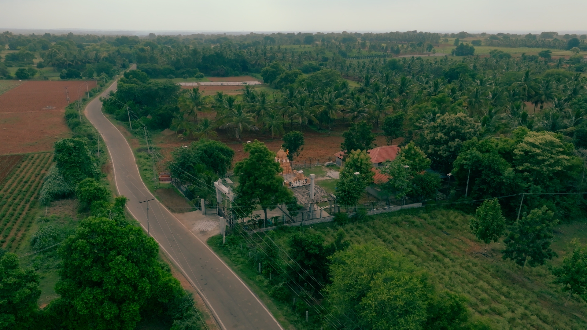 Scenic road near Akshaya Farmlands